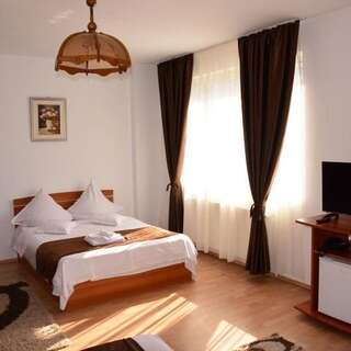 Отель Hotel Delaf Клуж-Напока Двухместный номер с 1 кроватью или 2 отдельными кроватями-1