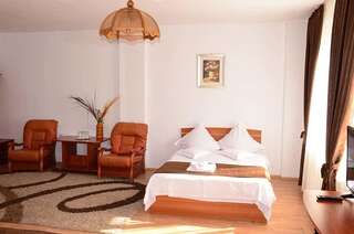 Отель Hotel Delaf Клуж-Напока Двухместный номер с 1 кроватью или 2 отдельными кроватями-2